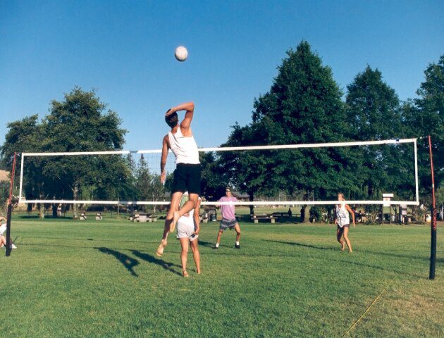Best Outdoor Volleyball Net Systems Cobra Volleyball
