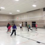 Cobra Indoor Volleyball Net System